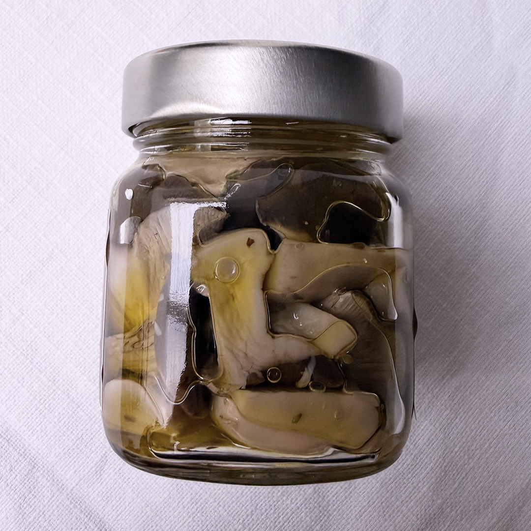 FUNGHI 2